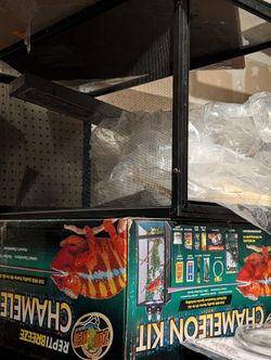 Chameleon Cage light Plants For Home