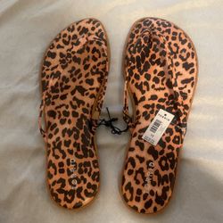 Brand New Torrid Cheetah Flip Flops Size 13