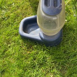 Big Beverage Dispenser For Pets 🐶🐱🐕