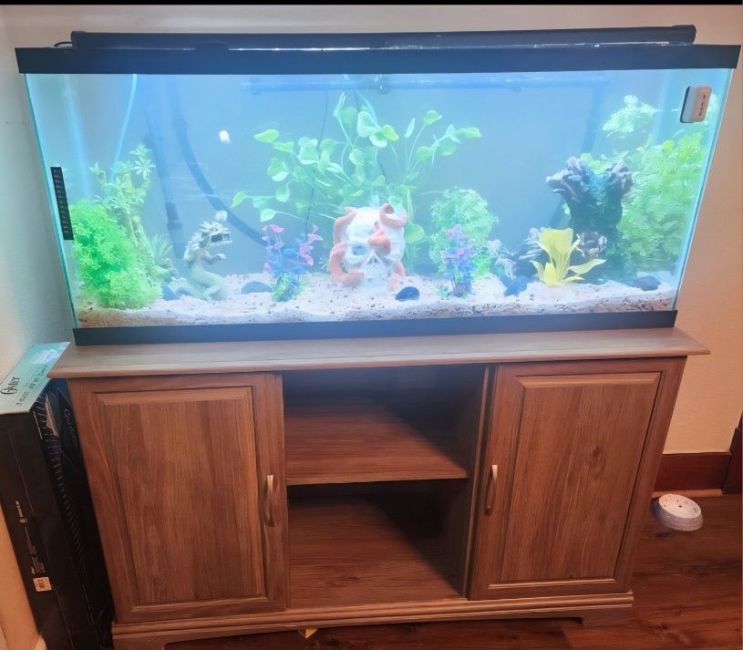 55 gallon Aquarium with wood stand/ Hood