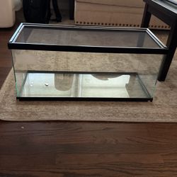Reptile Enclosure