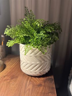 Faux Fern Plant in White Textured HomeGoods Planter