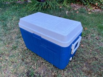 Medium Coleman cooler
