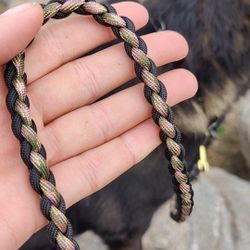 Paracord Dog Leash