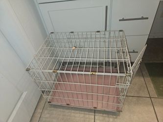 Kennel