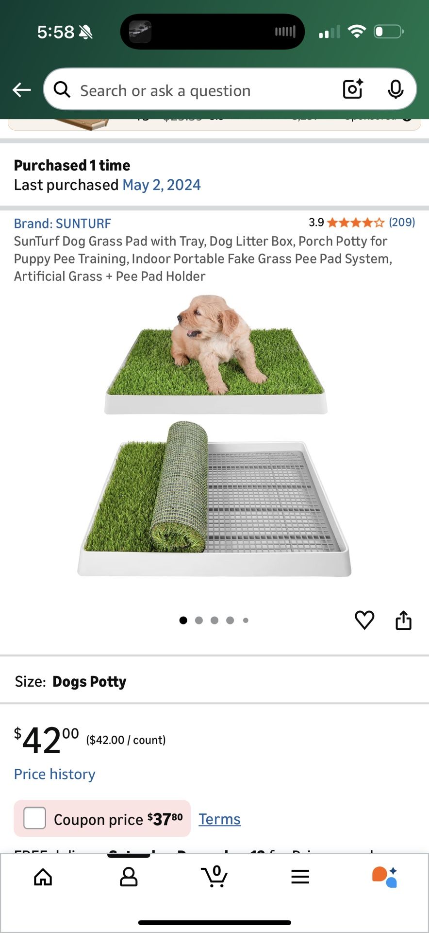 Dog Pee Pad