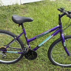 Woman's  Roadmaster  Mt Furry