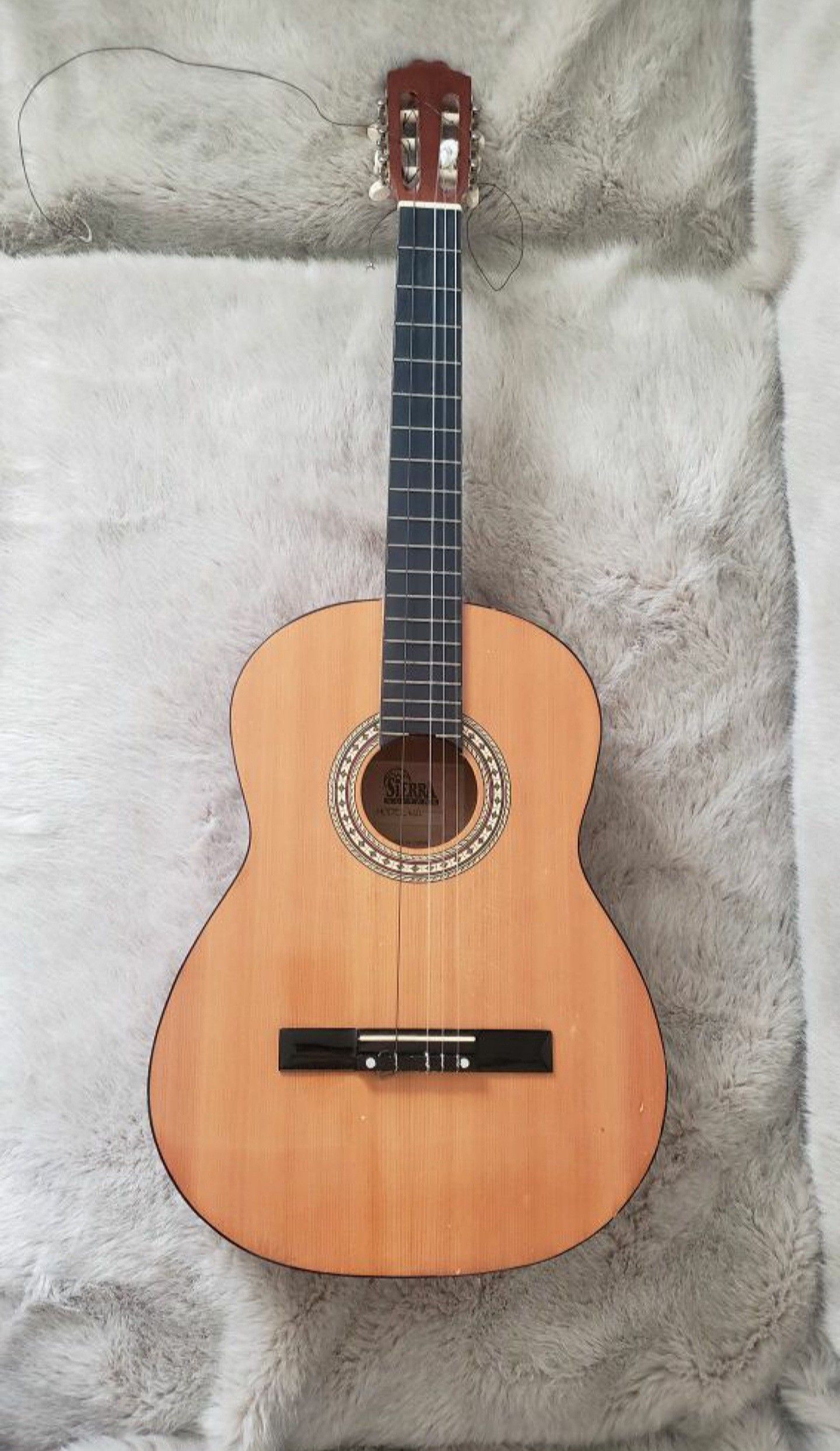 Sierra Guitars Guitar