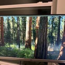 Monitor - HP 23.8 Inch FHD