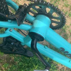 Mongoose 20inch Bmx 