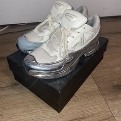 Adidas RAF SIMONS RS OZWEEGO