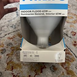 Light Bulbs Philips Indoor Flood 65W