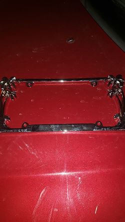 Palm Tree License plate cover