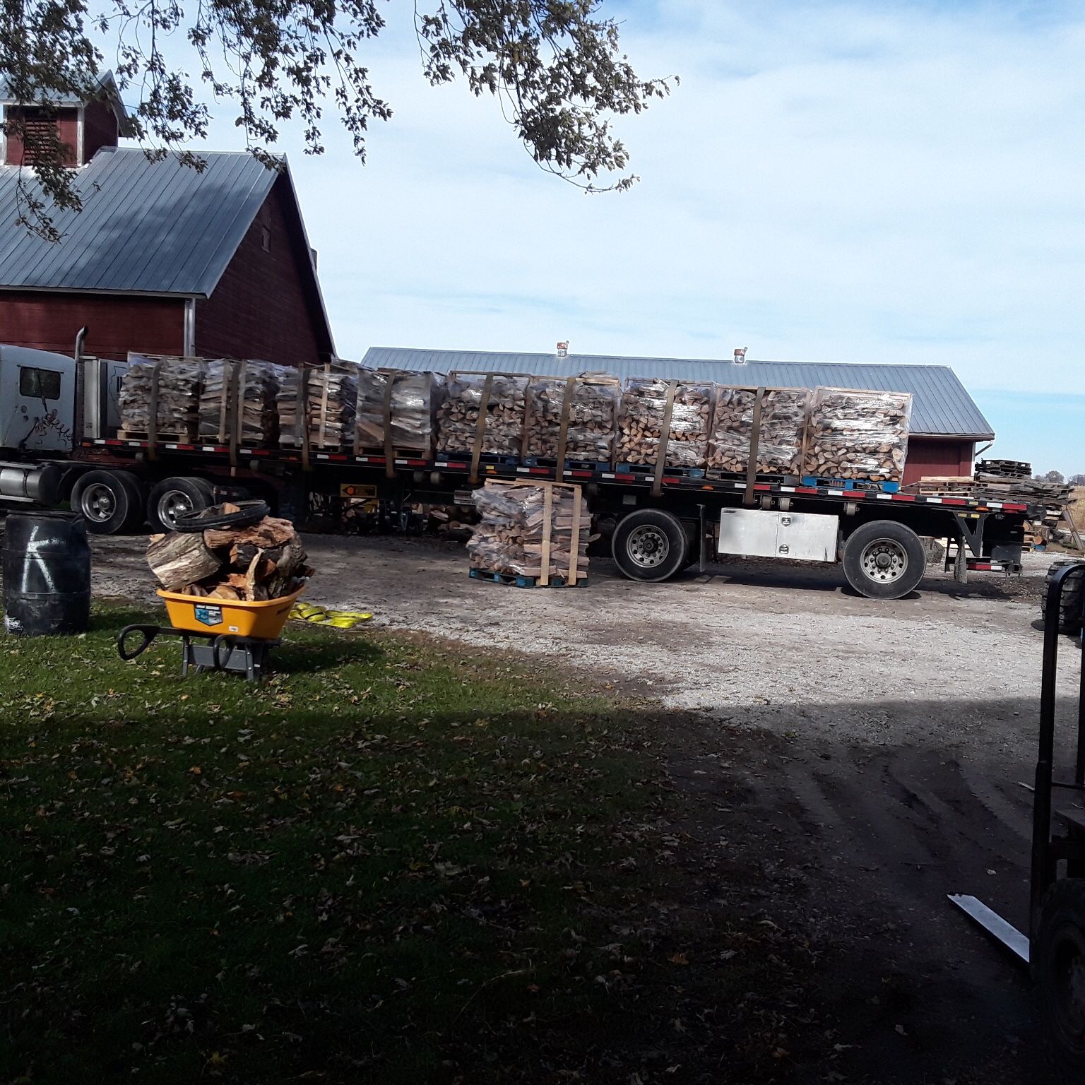 Firewood
