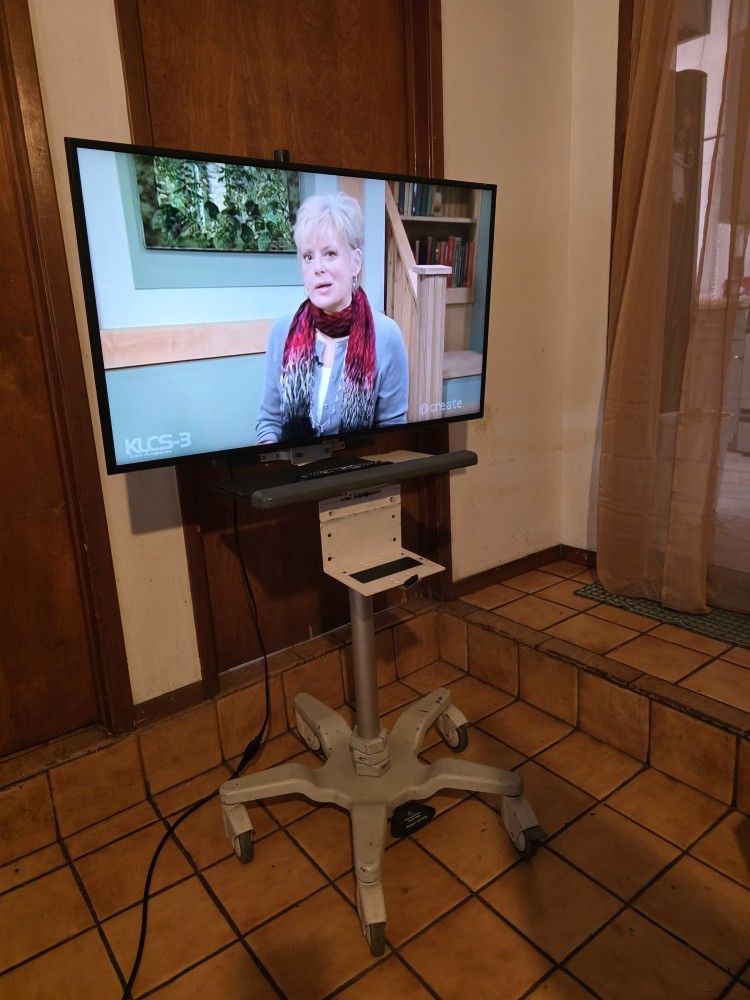 Samsung 40Inch. Smart TV With Rolling Stand Up Adjustable On Wheels Mobile Cart Desk