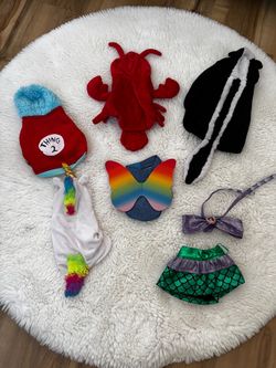 Halloween costumes / dog/cat