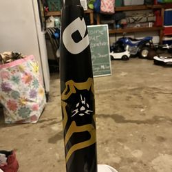 2020 DeMarini Zen, 31” -10, 21 Oz. 