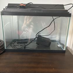 Fish Tank 