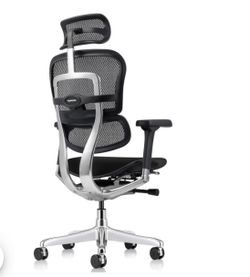 Ergohuman Office Chair