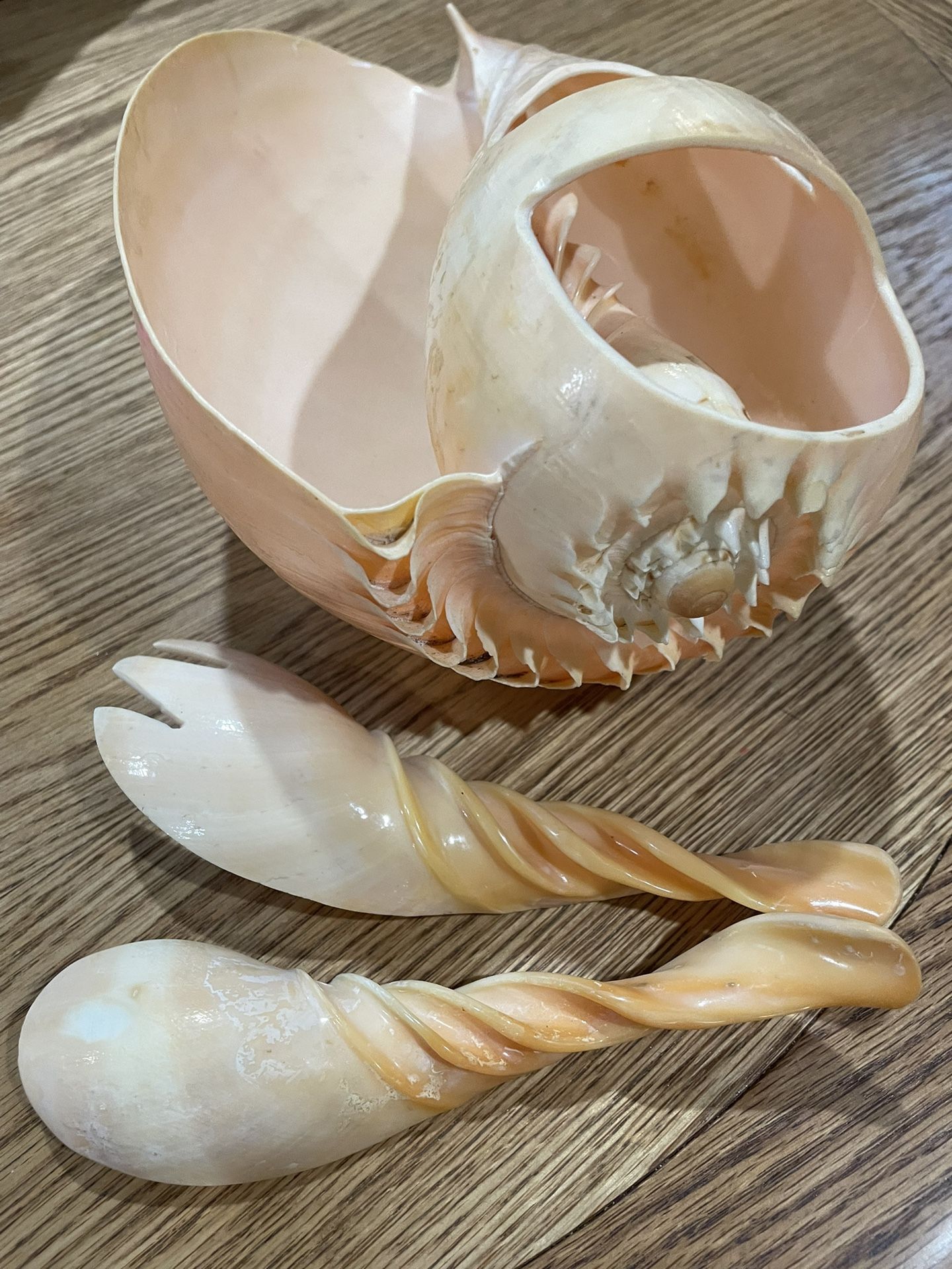 Conch Sea Shell Serving Bowl -Fork & Spoon