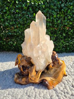 ✨ QUARTZ WITH A LITTLE WOODLAND MAGIC ✨