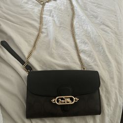 Coach Purse /wristlet 
