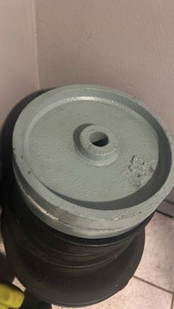10lbs weights