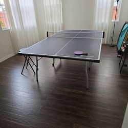 Ping Pong Table