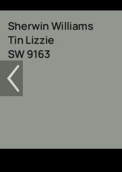 Paint: Tin Lizzie color interior Sherwin Williams