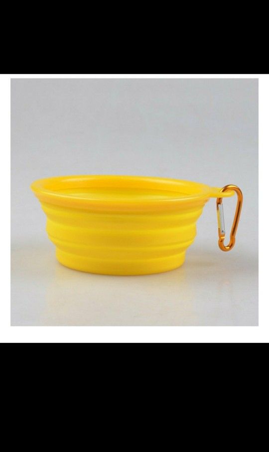 Collapsible Dog Bowl