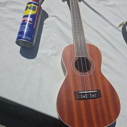 Lanikai Ukulele.. Hawaii LU22CGC 