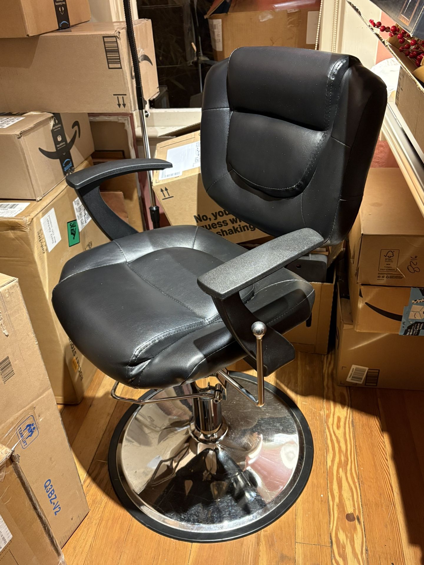 Salon / Barber Chair