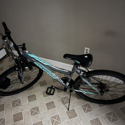 Brand New Mountain Bike Mongoose 
