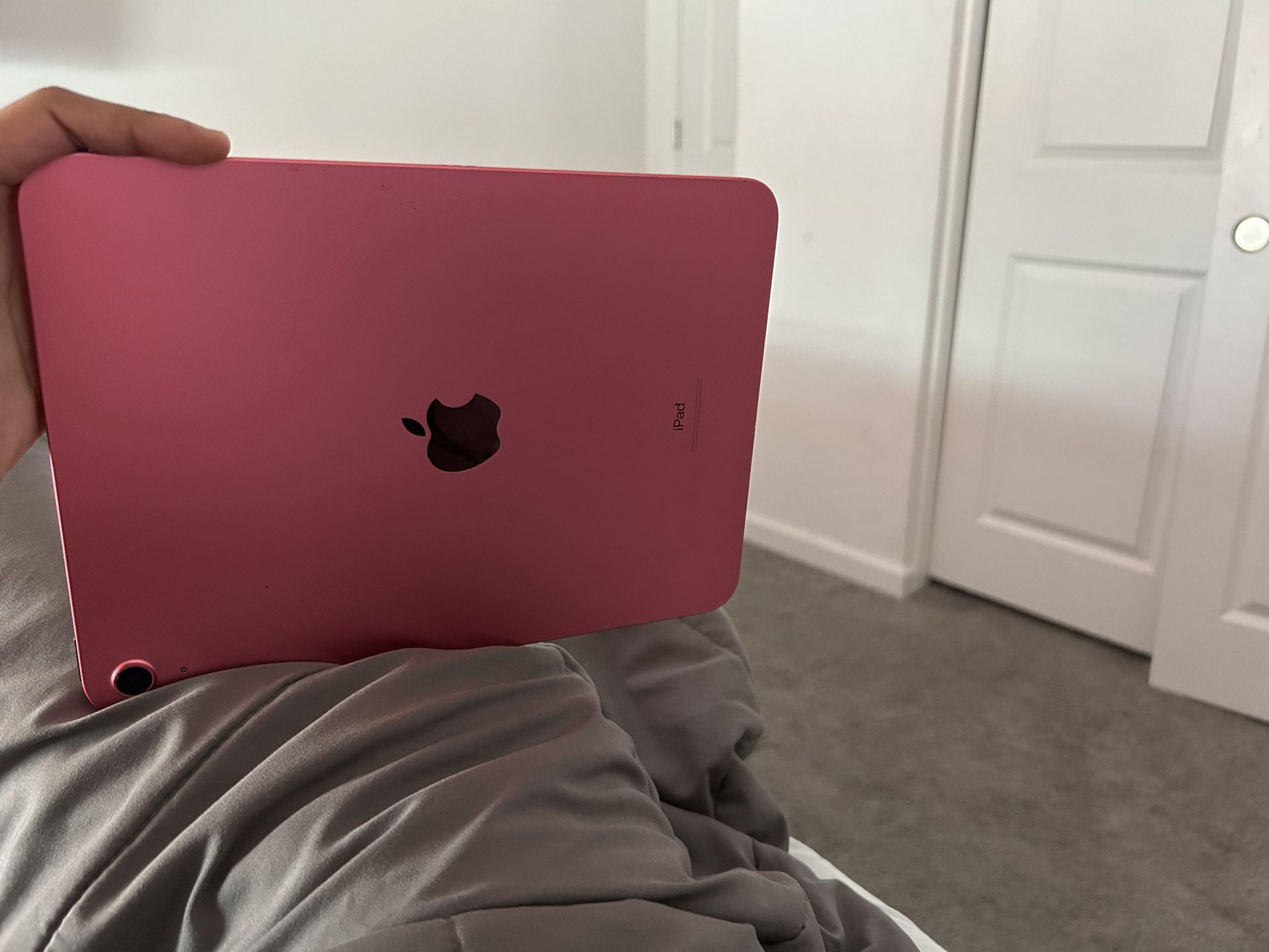 Apple Pink iPad 