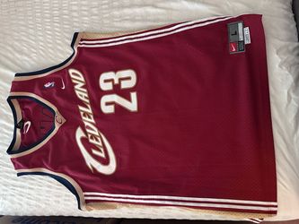 Men’s Nike Large Lebron James Cavaliers Jersey (Rookie Year - Large)
