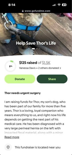 Go fund me donations
