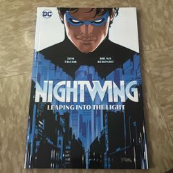Nightwing Leaping Into The Light 