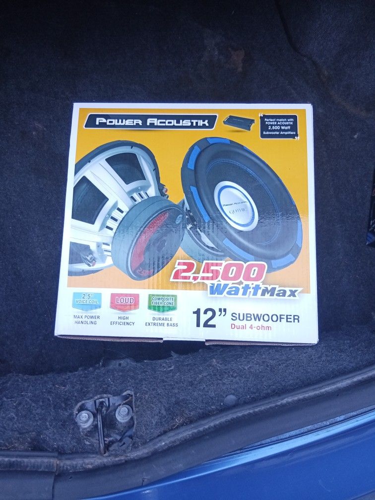 12" Subwoofer