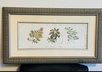 Botanical Print in Silver Frame