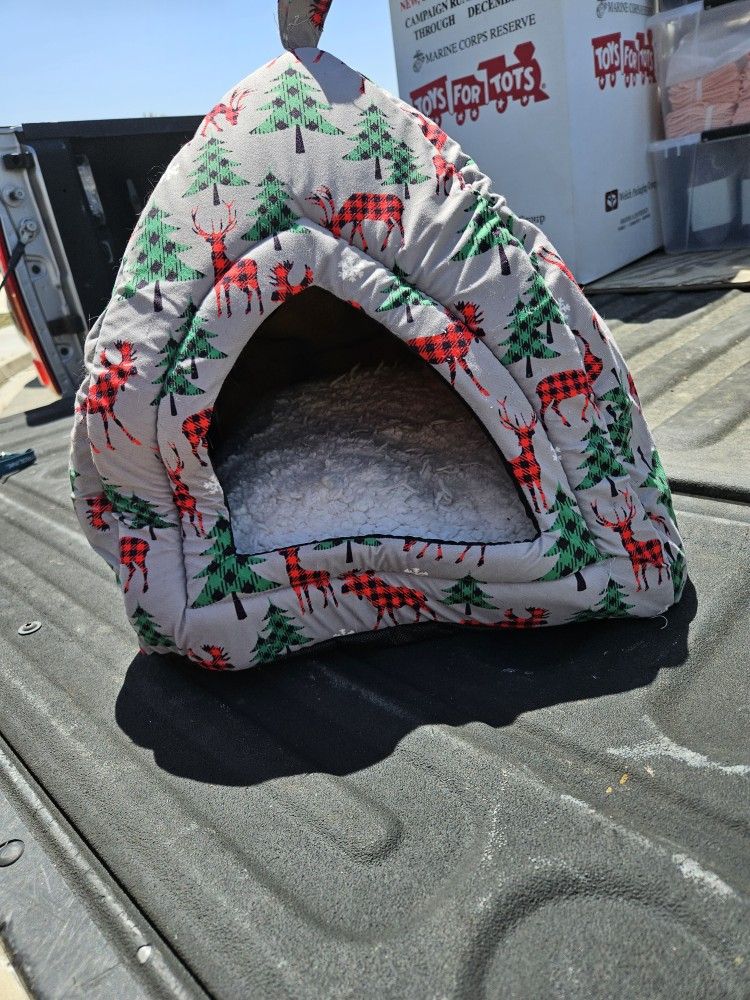 Free Cat House