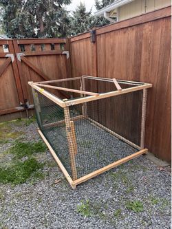 Kitten cage