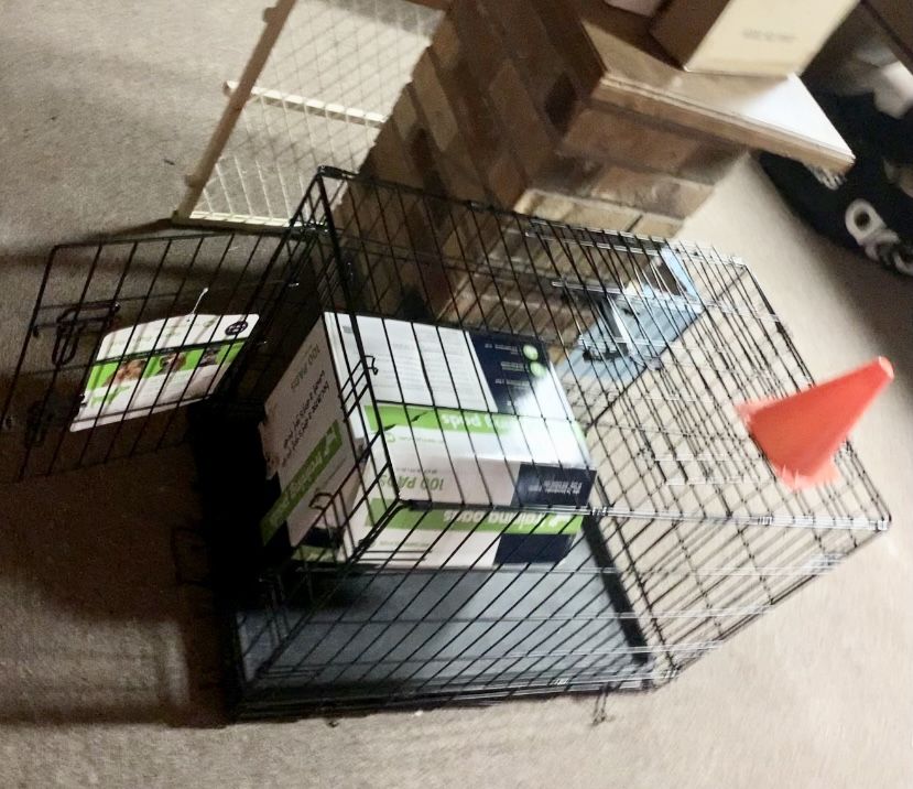 New Dog cage With Training pads