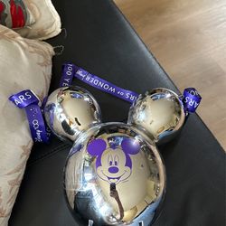 Disney Bucket