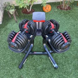 BowFlex Results Series 552 SelectTech Dumbbells