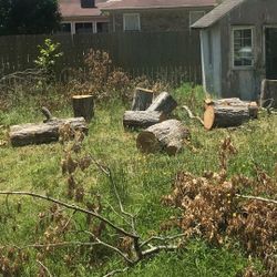 Free Firewood  FREE FIRE WOOD