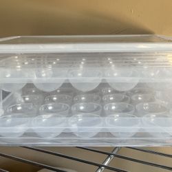 Plastic Egg Holding Container 
