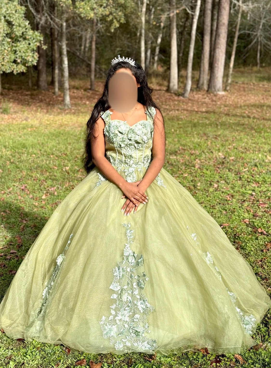 Exquisite Ball Gown And Hoop Skirt Size 8