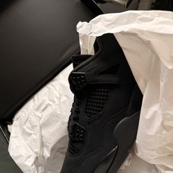 Air jordan 4 black cats