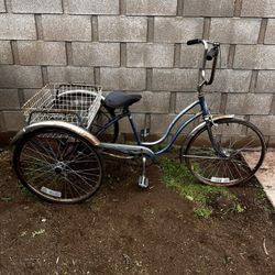Schwinn Tricycle Town And Country