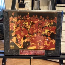 Detroit Red Wings Stanley Cup Champions 1998